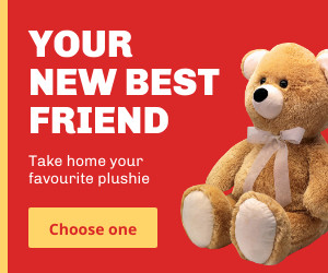 Favorite Plush Toy  300x250 template