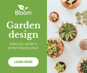 Perfect and Relaxing Garden Design 300x250 template