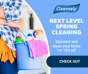 Next Level Spring Cleaning 300x250 template