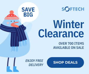 Christmas Winter Blue Bird Promotion Template 300x250 template