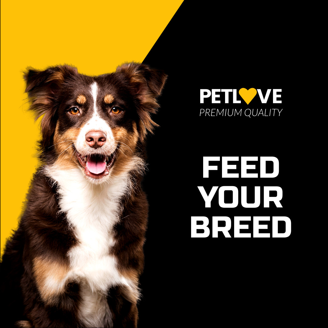 Feed Your Breed Pet Love 1080x1080 template