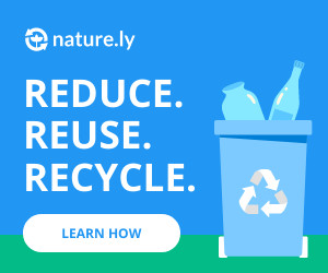Reduce Reuse Recycle 300x250 template