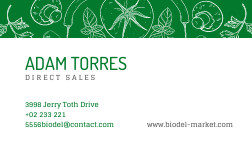 Biodel Market Nutrition Business – Card Template 252x144 template