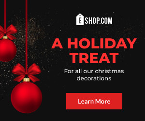 Christmas Decoration Holiday Treat 300x250 template