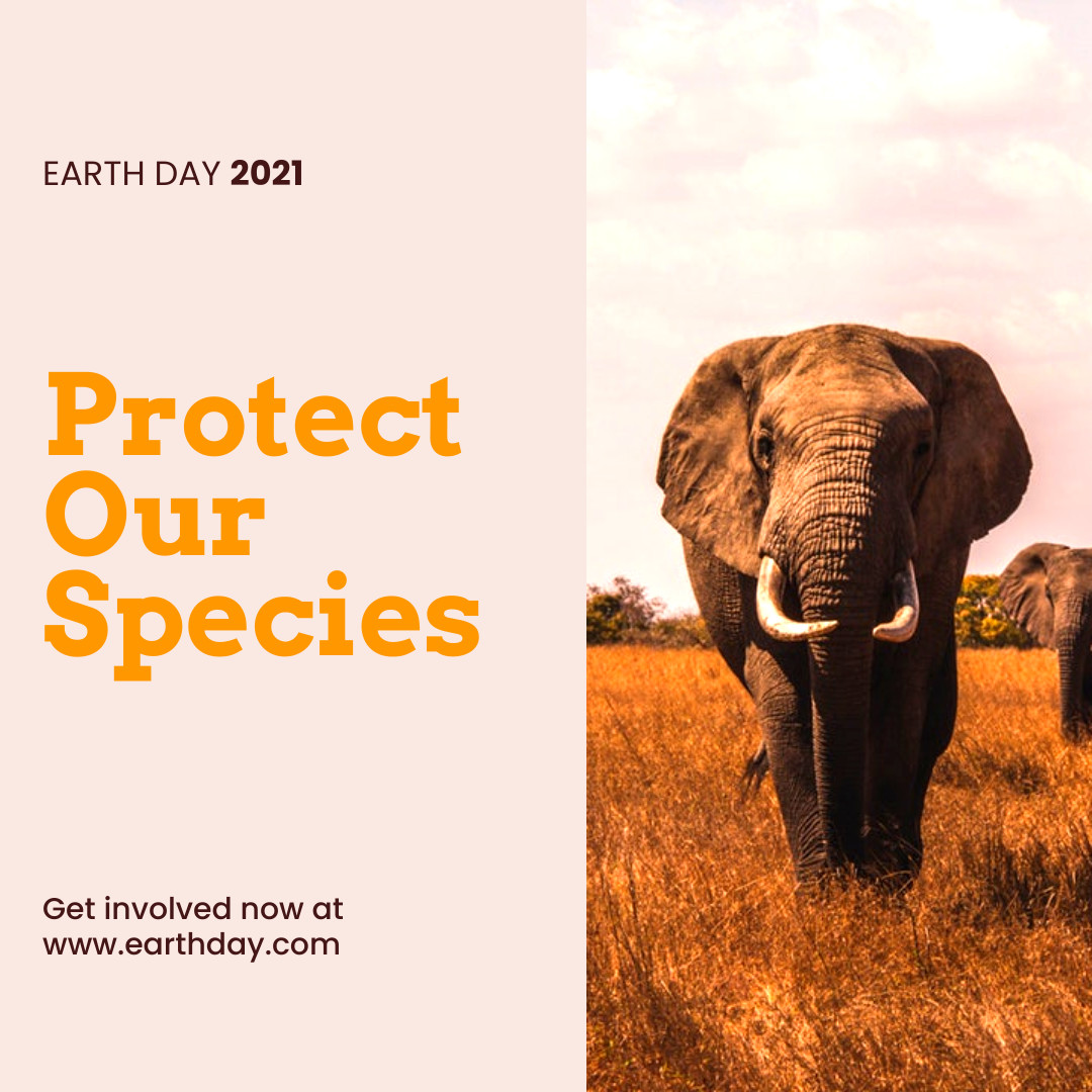 Protect Our Species Earth Day 1080x1080 template