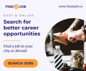 Search for Career Opportunities 300x250 template