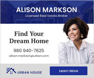 Find Dream Home Real Estate Broker 300x250 template