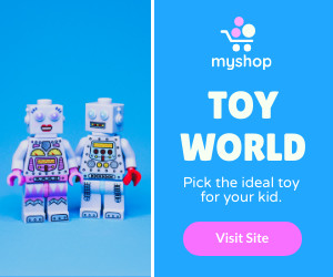 Toy World for Your Kid 300x250 template