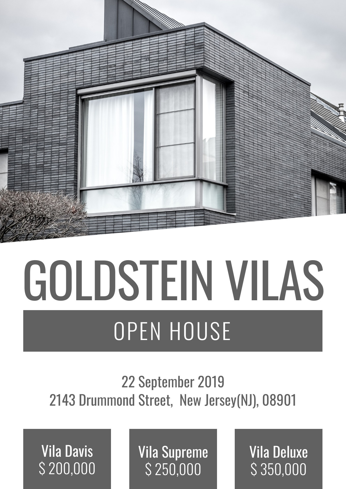 Goldstein Vilas – Poster Template 1191x1684 template
