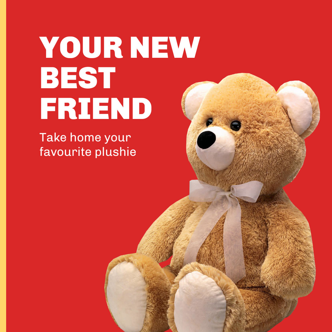 Favorite Plush Toy  1080x1080 template