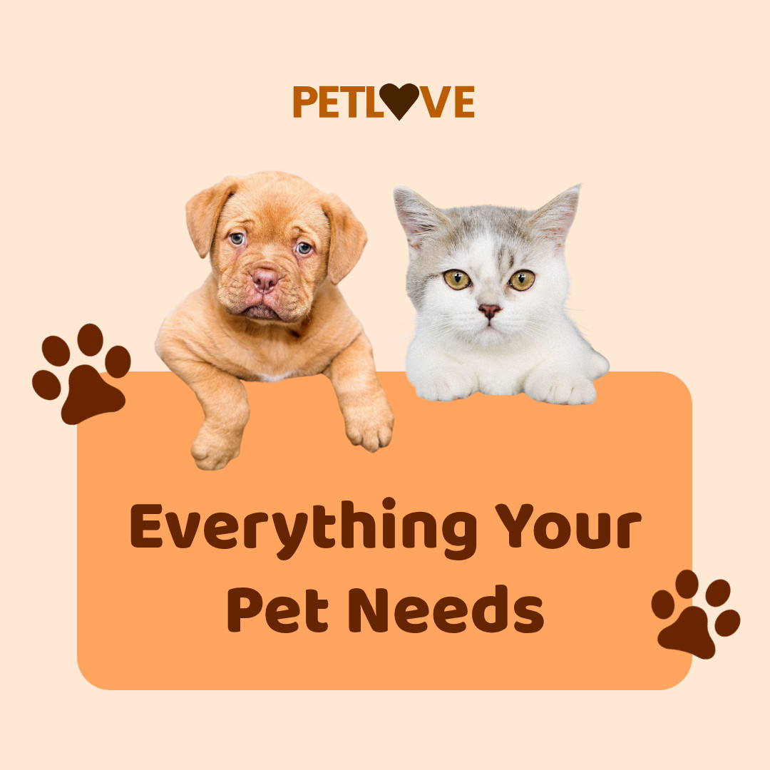 Everything Your Pet Needs  1080x1080 template