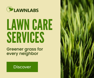 Greener Grass Lawn Care Services  300x250 template