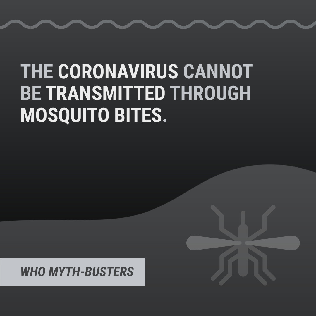 Myth COVID-19 Mosquito Bites 1080x1080 template