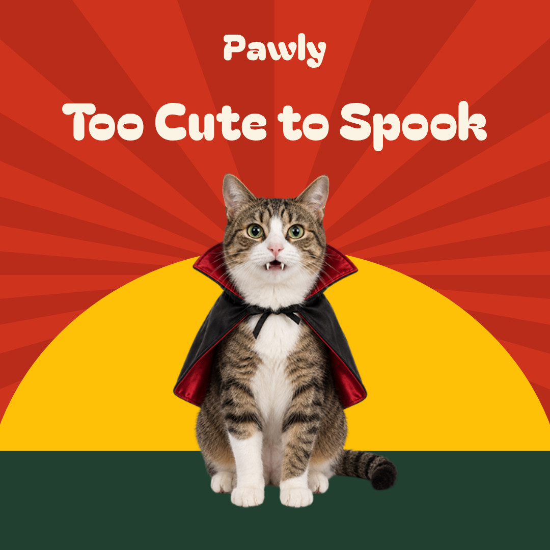 Too Cute To Spook Pet Costumes  1080x1080 template