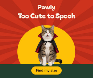 Too Cute To Spook Pet Costumes  300x250 template
