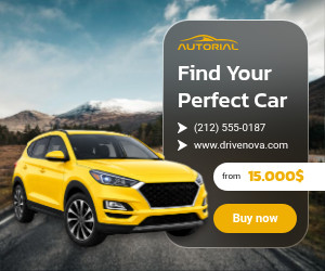 Find Your Perfect Car 300x250 template