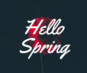 Hello Spring Red Flower 300x250 template