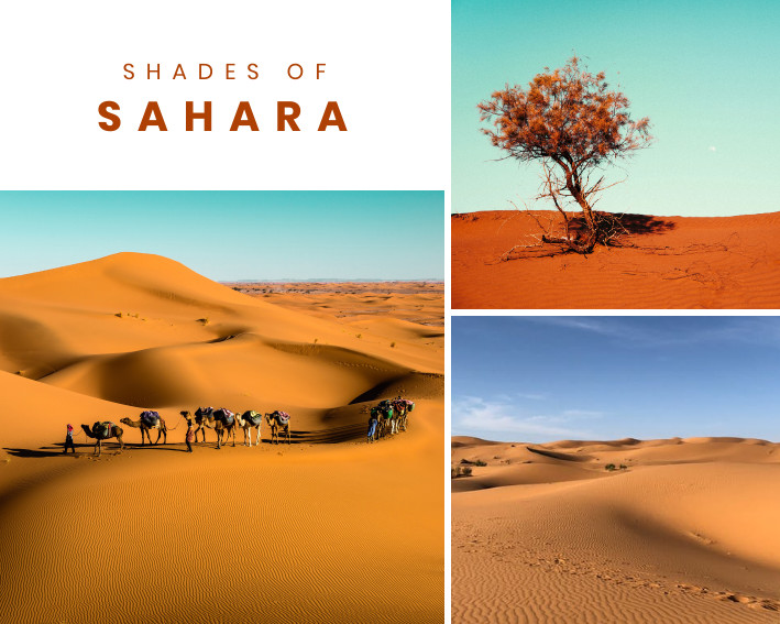 Shades of Sahara – Photo Collage Template  709x567 template