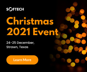 Festive Lights Christmas 2021 Event 300x250 template