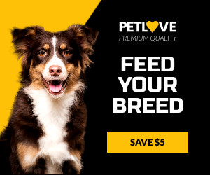 Feed Your Breed Pet Love 300x250 template