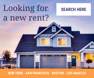 Looking for a New Rent 300x250 template