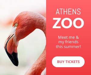 Meet the Flamingo at the Athens Zoo 300x250 template
