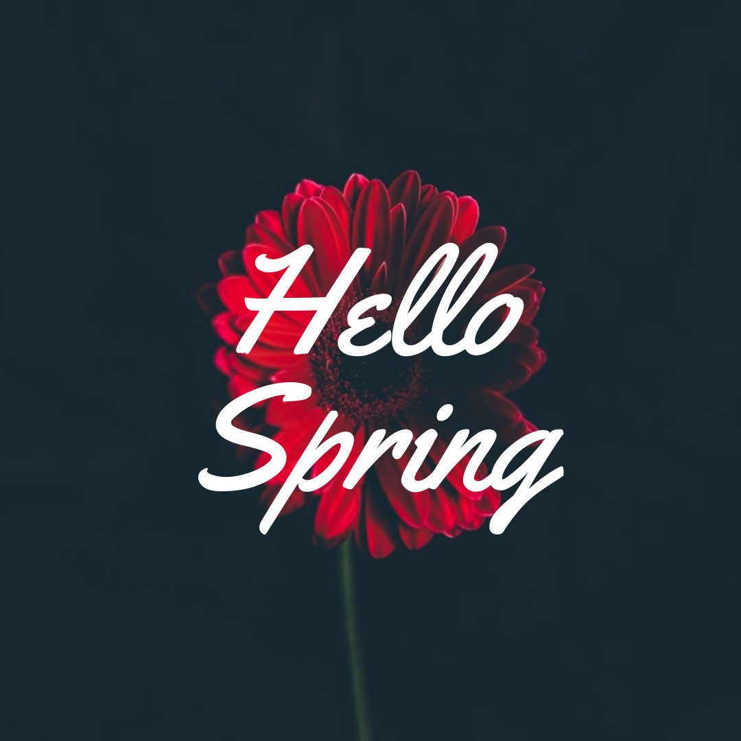 Hello Spring Red Flower 1080x1080 template