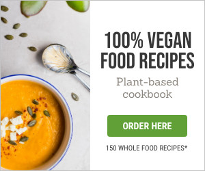 100 Vegan Food Recipes 300x250 template