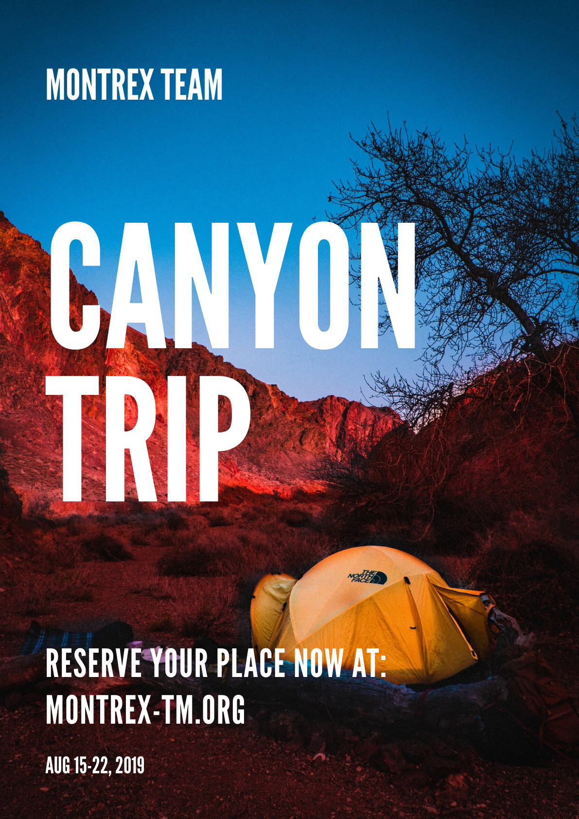 Montrex Canyon Trip – Poster Template 1191x1684 template