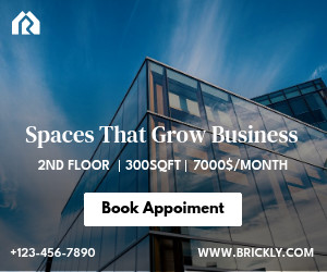 Spaces That Grow Business 300x250 template